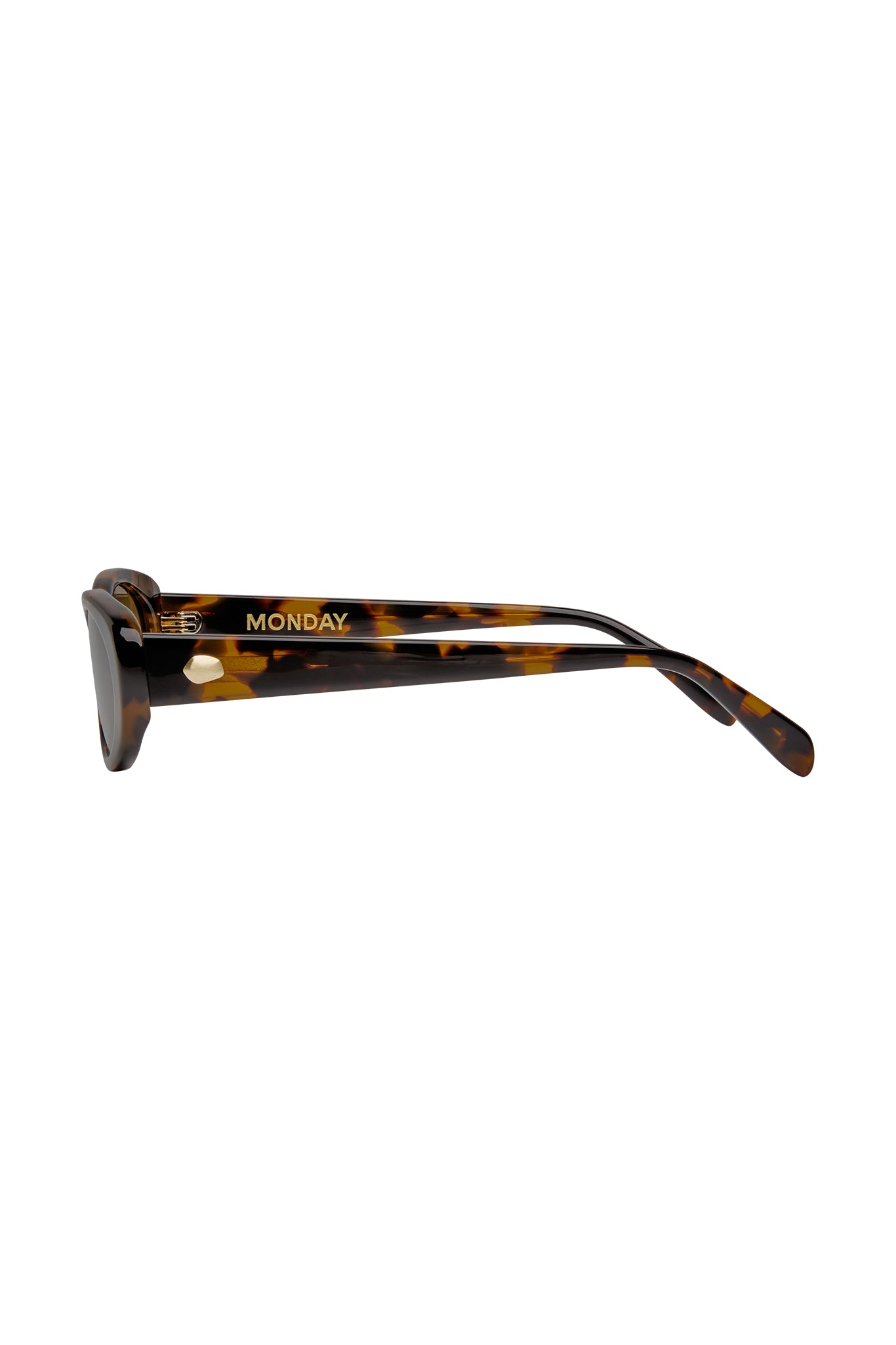 Tortoiseshell sunglasses temple arm with gold MONDAY lettering