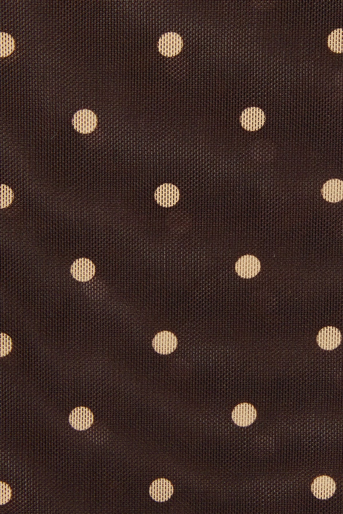 Camerelle Top - Espresso Dot Mesh